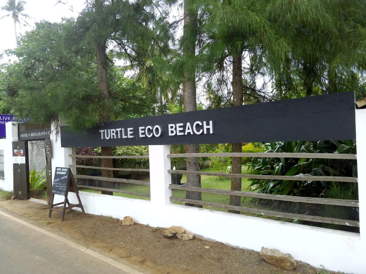 Turtle Eco Beach Matara Esterno foto